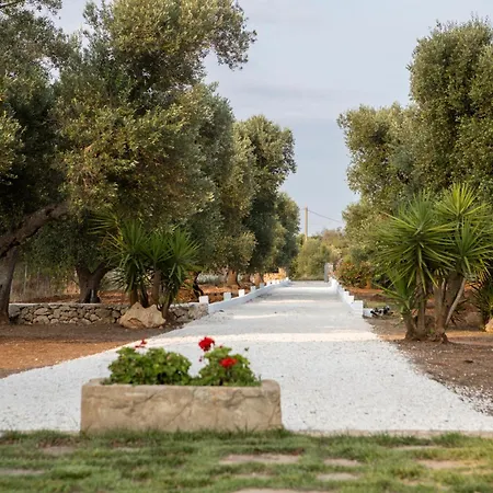 Trullo Porta Celeste 别墅 *